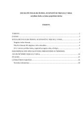 Socialinė pagalba šeimai, auginančiai neįgalų vaiką 