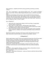 Mariaus Ivaškevičiaus trumpas kontekstas bei Madagaskaro analizė