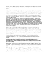 Mariaus Ivaškevičiaus trumpas kontekstas bei Madagaskaro analizė 2 puslapis