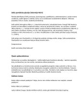 Mariaus Ivaškevičiaus trumpas kontekstas bei Madagaskaro analizė 3 puslapis