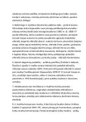 Vincas kudirka konspektai 2 puslapis