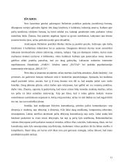 Pažintinės praktikos ataskaita. 11 puslapis