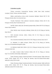 Pažintinės praktikos ataskaita. 12 puslapis