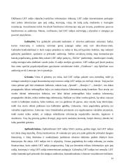 Pažintinės praktikos ataskaita. 14 puslapis