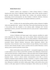 Pažintinės praktikos ataskaita. 5 puslapis