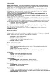 11-12 kl. biologijos konspektas 15 puslapis