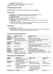 11-12 kl. biologijos konspektas 4 puslapis