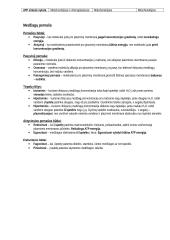 11-12 kl. biologijos konspektas 5 puslapis