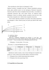 Finansų valdymas 13 puslapis