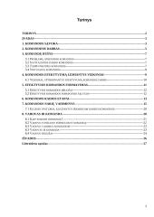Efektyvios komandos formavimas 2 puslapis