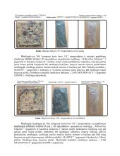 Biologiškai yrančių plastikų skaidymasis kontroliuojamoje aplinkoje 11 puslapis