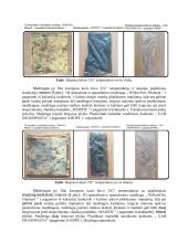 Biologiškai yrančių plastikų skaidymasis kontroliuojamoje aplinkoje 12 puslapis