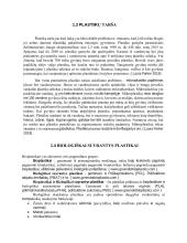 Biologiškai yrančių plastikų skaidymasis kontroliuojamoje aplinkoje 7 puslapis