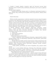 Krovinių tarptautinių vežimų dokumentai 11 puslapis