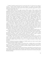 Krovinių tarptautinių vežimų dokumentai 14 puslapis