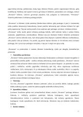 Komunikacija ir įvaizdžio formavimo priemonės įmonėje "Novaturas" 11 puslapis