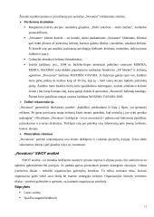 Komunikacija ir įvaizdžio formavimo priemonės įmonėje "Novaturas" 12 puslapis