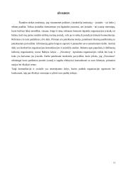 Komunikacija ir įvaizdžio formavimo priemonės įmonėje "Novaturas" 14 puslapis