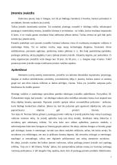 Komunikacija ir įvaizdžio formavimo priemonės įmonėje "Novaturas" 3 puslapis