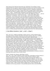 10 pagrindinių 11-12 klasės autorių konspektas 2 puslapis