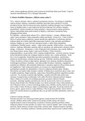 10 pagrindinių 11-12 klasės autorių konspektas 4 puslapis