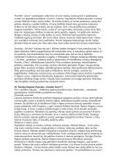 10 pagrindinių 11-12 klasės autorių konspektas 7 puslapis