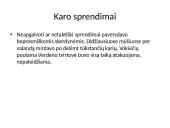 Pirmasis pasaulinis karas istorijos skaidrės 11 puslapis