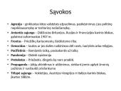 Pirmasis pasaulinis karas istorijos skaidrės 15 puslapis