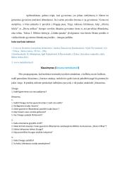 Kalbėjimas: Kaip gyvenimo išbandymai pakeičia žmogų? 4 puslapis