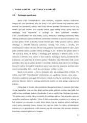 Verslo idėjos “Tobula rankinė” aprašymas 11 puslapis