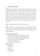 Verslo idėjos “Tobula rankinė” aprašymas 12 puslapis