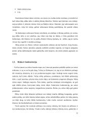 Verslo idėjos “Tobula rankinė” aprašymas 13 puslapis