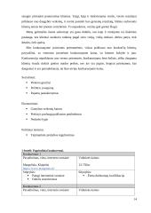 Verslo idėjos “Tobula rankinė” aprašymas 14 puslapis