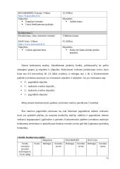 Verslo idėjos “Tobula rankinė” aprašymas 15 puslapis