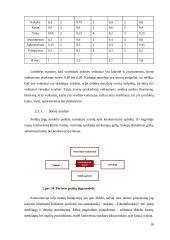 Verslo idėjos “Tobula rankinė” aprašymas 16 puslapis