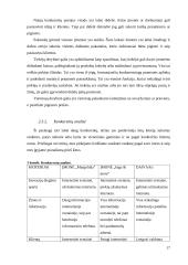 Verslo idėjos “Tobula rankinė” aprašymas 17 puslapis