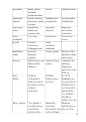 Verslo idėjos “Tobula rankinė” aprašymas 18 puslapis