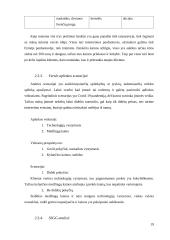 Verslo idėjos “Tobula rankinė” aprašymas 19 puslapis