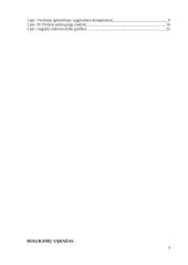 Verslo idėjos “Tobula rankinė” aprašymas 4 puslapis