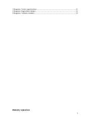 Verslo idėjos “Tobula rankinė” aprašymas 5 puslapis