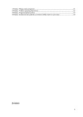 Verslo idėjos “Tobula rankinė” aprašymas 6 puslapis