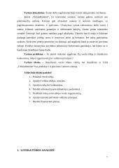 Verslo idėjos “Tobula rankinė” aprašymas 7 puslapis