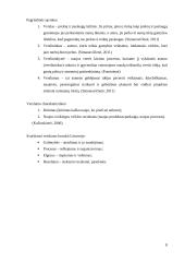 Verslo idėjos “Tobula rankinė” aprašymas 8 puslapis