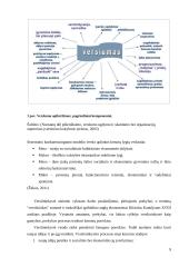 Verslo idėjos “Tobula rankinė” aprašymas 9 puslapis