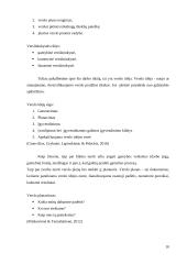 Verslo idėjos “Tobula rankinė” aprašymas 10 puslapis