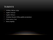 Dainuojanti revoliucija Telšiuose 2 puslapis