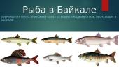 Озеро Байкал 5 puslapis