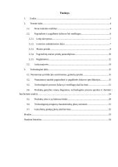 Ledų gamybos cechas 2 puslapis