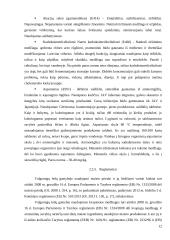 Ledų gamybos cechas 12 puslapis