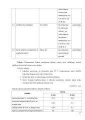 Ledų gamybos cechas 17 puslapis